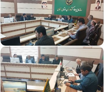 توسعه کشاورزی و بهره‌وری آب در زنجان با نشست مدیران IEM و کرانه و مدیرکل جهاد کشاورزی